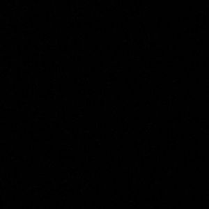 Meet your Posher, Riley